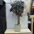 60" Artificial Silk Tree Floor Plant with Beige Plastic Pot